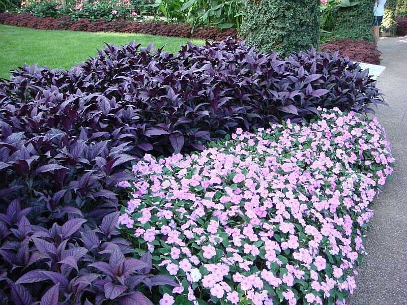 420 Longwood Gardens [2008 August 23].JPG - Longwood Gardens in Pennsylvania